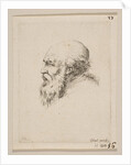 Head of a Bald and Bearded Old Man in Profile, from 'Various heads and figures by Stefano della Bella