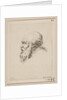 Head of a Bald and Bearded Old Man in Profile, from 'Various heads and figures by Stefano della Bella