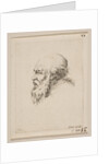 Head of a Bald and Bearded Old Man in Profile, from 'Various heads and figures by Stefano della Bella