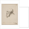 Head of a Bald and Bearded Old Man in Profile, from 'Various heads and figures by Stefano della Bella