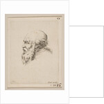 Head of a Bald and Bearded Old Man in Profile, from 'Various heads and figures by Stefano della Bella