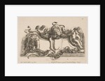 Cartouche Containing an Empty Shield Surmounted by a Lion and Framed by a Lion and a Child, 1646 by Stefano della Bella