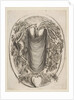 Cartouche with Skeletons, 1647 by Stefano della Bella