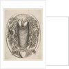 Cartouche with Skeletons, 1647 by Stefano della Bella
