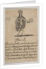 Brésil, 1644 by Stefano della Bella