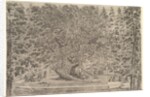 A large inhabited tree in center with ramps leading around the trunk, below a stone pa…, ca. 1653 by Stefano della Bella