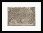 A large inhabited tree in center with ramps leading around the trunk, below a stone pa…, ca. 1653 by Stefano della Bella
