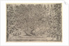 A large inhabited tree in center with ramps leading around the trunk, below a stone pa…, ca. 1653 by Stefano della Bella