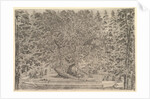 A large inhabited tree in center with ramps leading around the trunk, below a stone pa…, ca. 1653 by Stefano della Bella