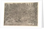 A large inhabited tree in center with ramps leading around the trunk, below a stone pa…, ca. 1653 by Stefano della Bella