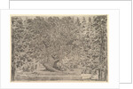 A large inhabited tree in center with ramps leading around the trunk, below a stone pa…, ca. 1653 by Stefano della Bella
