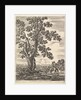 A woman on horseback seen from behind descending a hill to the right, a large tree …, ca. 1652-57 by Stefano della Bella