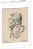 Plate 7: bust of a bearded soldier wearing armor, facing left in profile, from 'Various he…, 1650 by Stefano della Bella