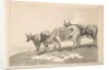 Three Cows Standing on the Ridge of a Field, 1784-87 by Thomas Rowlandson