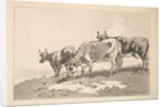 Three Cows Standing on the Ridge of a Field, 1784-87 by Thomas Rowlandson