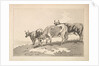 Three Cows Standing on the Ridge of a Field, 1784-87 by Thomas Rowlandson
