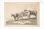 Three Cows Standing on the Ridge of a Field, 1784-87 by Thomas Rowlandson