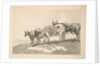 Three Cows Standing on the Ridge of a Field, 1784-87 by Thomas Rowlandson