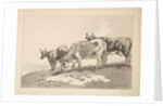 Three Cows Standing on the Ridge of a Field, 1784-87 by Thomas Rowlandson
