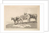 Three Cows Standing on the Ridge of a Field, 1784-87 by Thomas Rowlandson