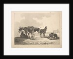 A Group of Five Donkeys, Three Standing, Two Lying, 1783-87 by Thomas Rowlandson