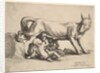 Romulus and Remus, 1652 by Wenceslaus Hollar