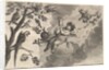 Air, ca. 1647 by Wenceslaus Hollar