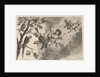 Air, ca. 1647 by Wenceslaus Hollar