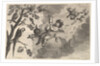 Air, ca. 1647 by Wenceslaus Hollar