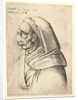 Bust of a man with a small turned-up nose and very high upper lip, wearing hood, in profil…, 1666 by Wenceslaus Hollar