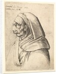 Bust of a man with a small turned-up nose and very high upper lip, wearing hood, in profil…, 1666 by Wenceslaus Hollar