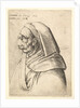 Bust of a man with a small turned-up nose and very high upper lip, wearing hood, in profil…, 1666 by Wenceslaus Hollar