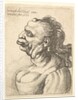 Bust of a woman wearing low-cut dress, with protruding lipd, growth on her forehead, promi…, 1660 by Wenceslaus Hollar