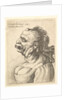 Bust of a woman wearing low-cut dress, with protruding lipd, growth on her forehead, promi…, 1660 by Wenceslaus Hollar
