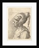 Bust of a deformed woman with conical hat and two dangling plaits in profile to left, 1665 by Wenceslaus Hollar