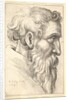 Bearded old man in profile to right, 1645 by Wenceslaus Hollar