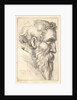 Bearded old man in profile to right, 1645 by Wenceslaus Hollar