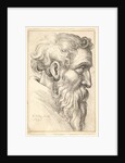 Bearded old man in profile to right, 1645 by Wenceslaus Hollar