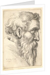 Bearded old man in profile to right, 1645 by Wenceslaus Hollar