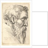 Bearded old man in profile to right, 1645 by Wenceslaus Hollar