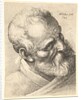 Bearded old man with a tilted head, 1645 by Wenceslaus Hollar