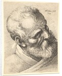 Bearded old man with a tilted head, 1645 by Wenceslaus Hollar