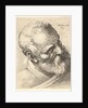 Bearded old man with a tilted head, 1645 by Wenceslaus Hollar