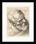 Bearded old man with a tilted head, 1645 by Wenceslaus Hollar