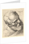 Bearded old man with a tilted head, 1645 by Wenceslaus Hollar