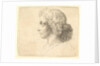 Head of young man with long hair in profile to the left, 1644-52 by Wenceslaus Hollar
