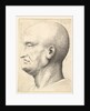 Head of a bald man in profile to left, 1644-52 by Wenceslaus Hollar