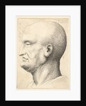 Head of a bald man in profile to left, 1644-52 by Wenceslaus Hollar