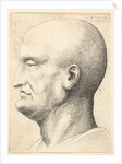 Head of a bald man in profile to left, 1644-52 by Wenceslaus Hollar