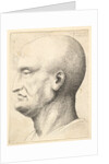 Head of a bald man in profile to left, 1644-52 by Wenceslaus Hollar